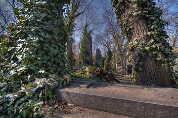 Image showing old graveyard in Prag