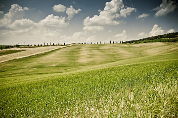 Image showing Typical Tuscan landscape