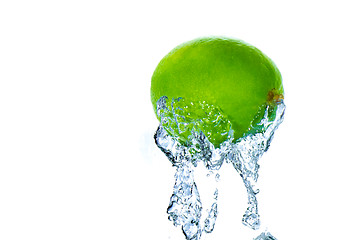 Image showing lime splashing