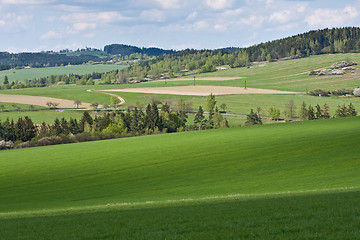 Image showing green field