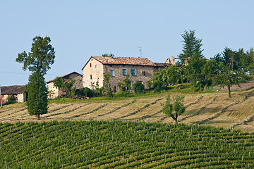 Image showing Typical Tuscan landscape