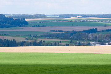 Image showing green field