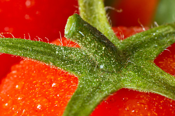Image showing tomato closeup