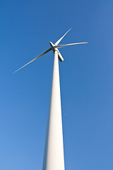 Image showing windmill  farm