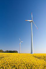 Image showing windmill  farm in the rape field