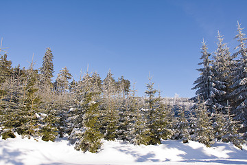 Image showing fresh snow in the mountains