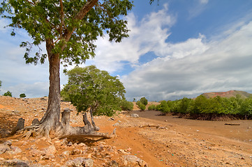 Image showing Seraya Island, Indonesia