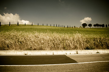 Image showing Typical Tuscan landscape