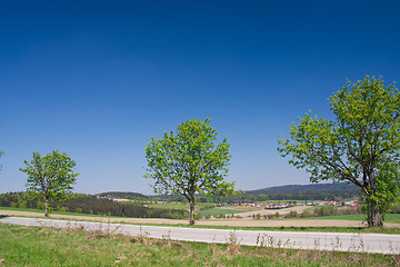 Image showing grassland in the springtime