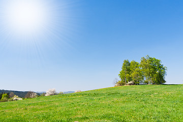 Image showing grassland in the springtime