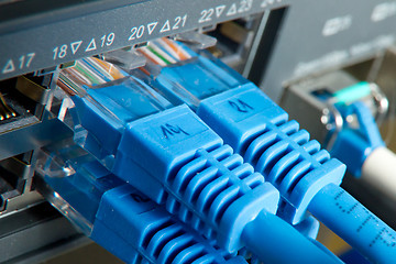 Image showing network cables