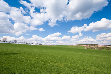 Image showing green field