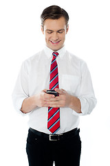 Image showing Business person texting