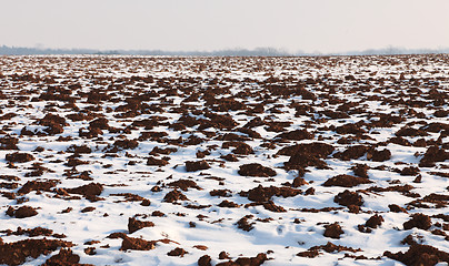 Image showing Field in winter