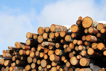 Image showing Cut wood fuel with snow, blue sky and few clouds