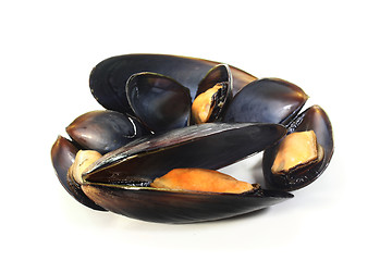 Image showing Mussels