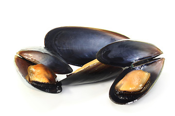 Image showing Mussels