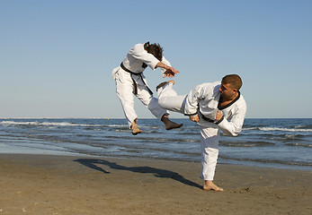 Image showing taekwondo, kickboxing