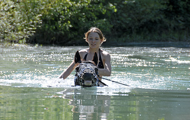 Image showing swimming horse 