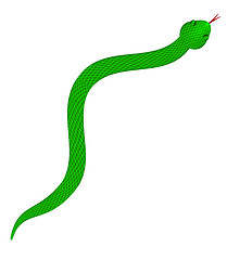 Image showing Green Snake with Scales Illustration