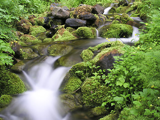 Image showing  mountain stream 