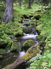 Image showing  mountain stream 