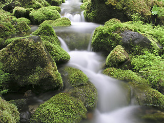 Image showing  mountain stream 