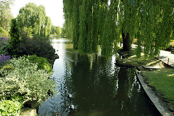 Image showing Regent's Park lake