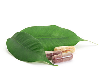 Image showing Pills Capsules Bio and green leaf natural