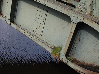 Image showing Grass growing in a metallic bridge beam.