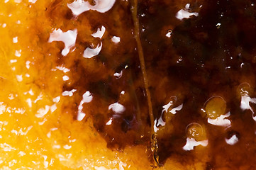 Image showing French dessert - cream brulee, burnt cream 