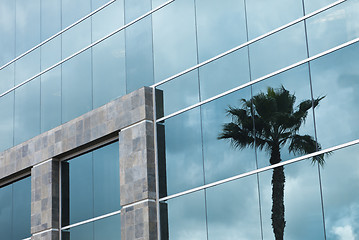 Image showing Abstract Corporate Building with Palm Tree Reflection
