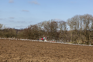 Image showing Farmer plowing