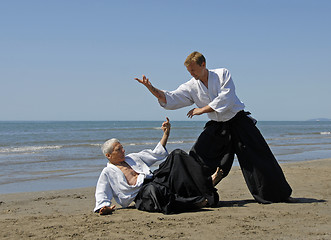 Image showing aikido on the beach