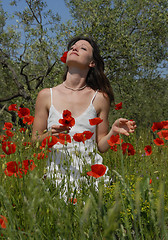 Image showing young woman in poppies