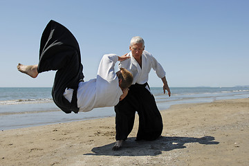 Image showing Aikido