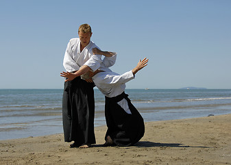 Image showing aikido on the beach