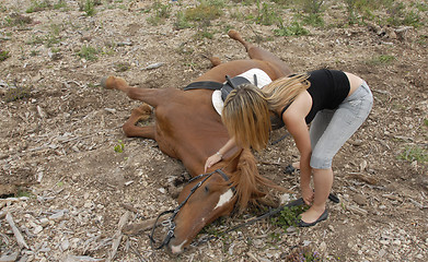 Image showing accident horse