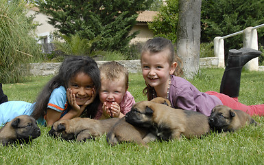 Image showing children and puppies