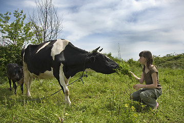 Image showing girl and the cow