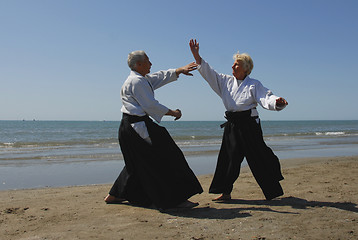 Image showing aikido sur la plage