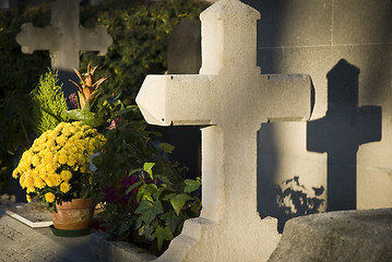 Image showing Grave with shadow cross at cemetery