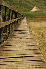 Image showing bridge towards the swamp