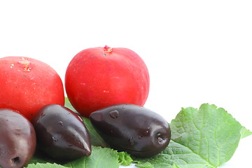 Image showing olives and radishes