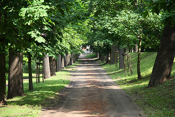 Image showing City Park in Kalisz