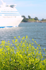 Image showing View of Finland Gulf with white yellow flowers in the foreground