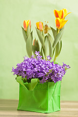 Image showing Spring bouquet from tulips and campanula blue, a close up