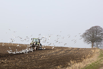 Image showing Farmer plowing