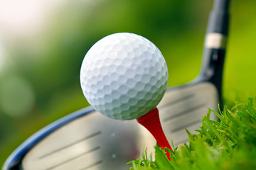 Image showing Golf club and ball in grass 