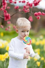 Image showing toddler with lollipop